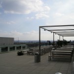 Roof Garden at Blue Fin Building
