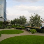 Roof Garden at Blue Fin Building
